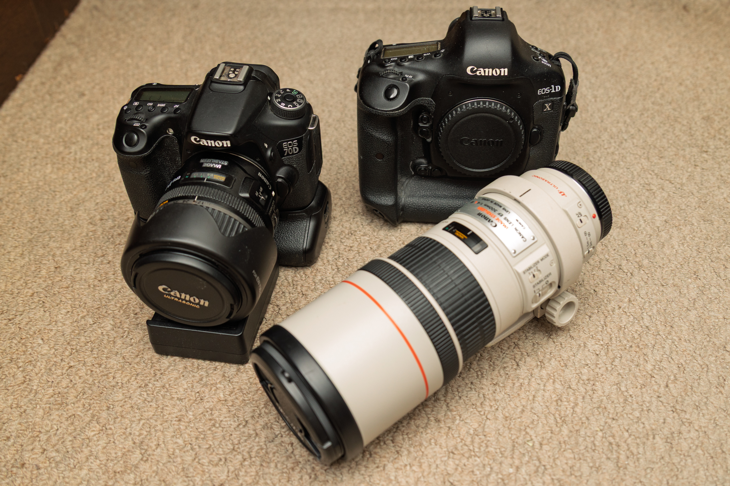 カメラ器材EOS-1DX/70D