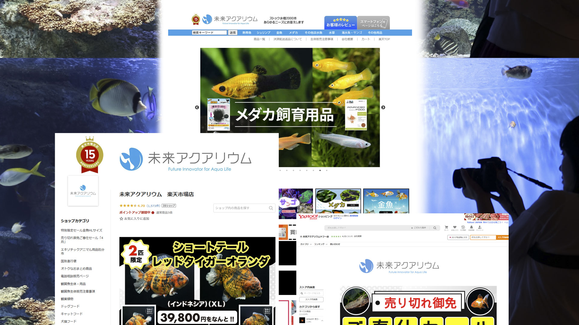 楽天・yahoo!ショッピング、未来アクアリウム様
