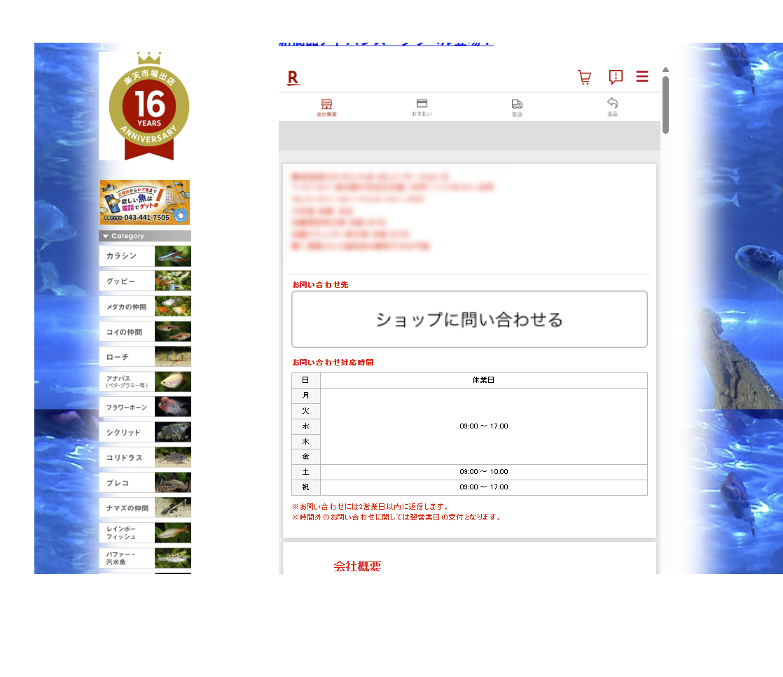 カテゴリページへの埋め込みイメージ