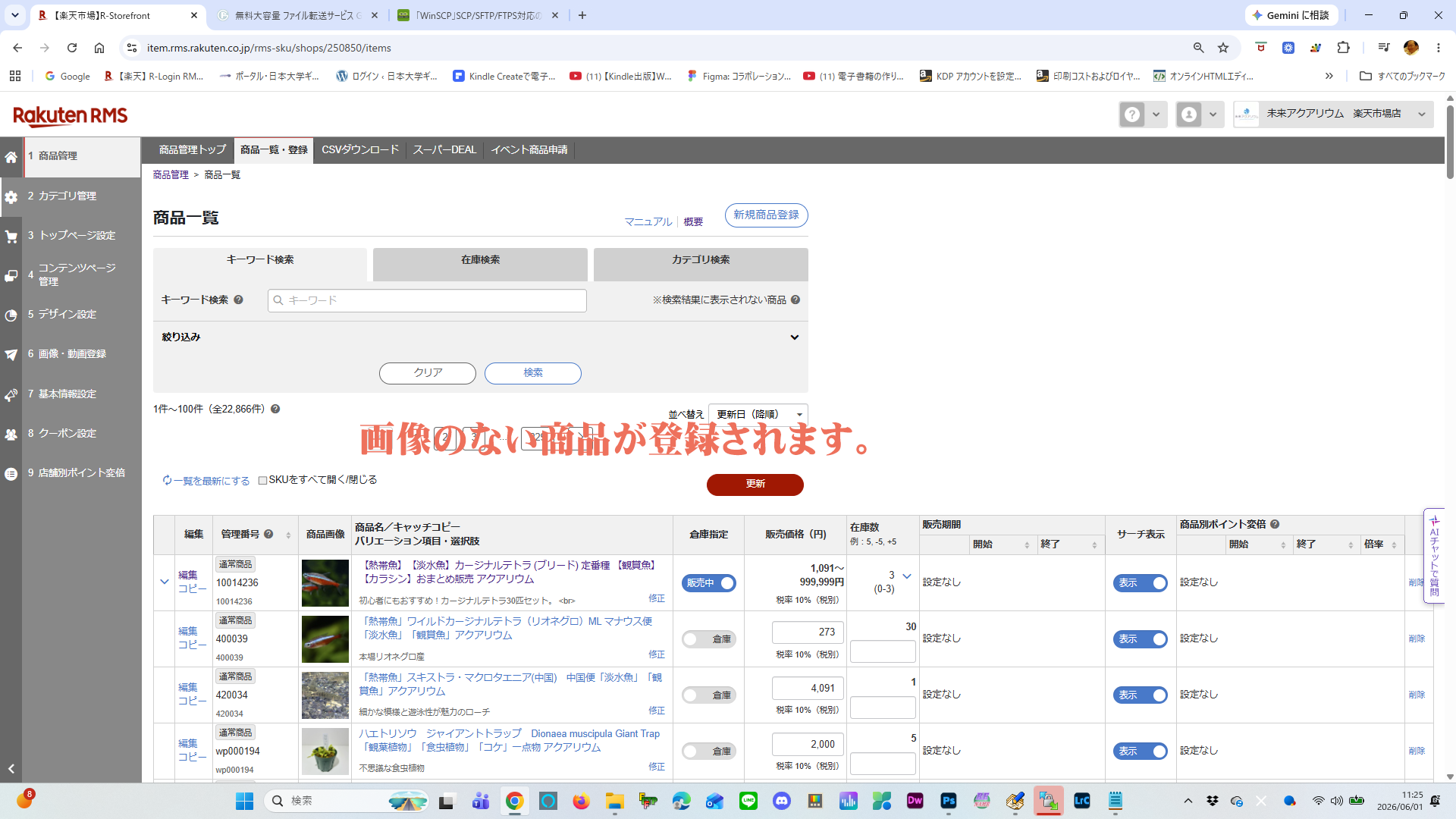 楽天RMS商品一覧画面での最終確認